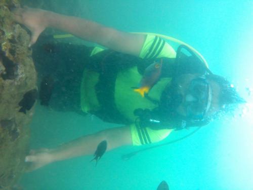 scuba diving in tarkarli time