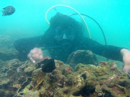 scuba diving in tarkarli booking